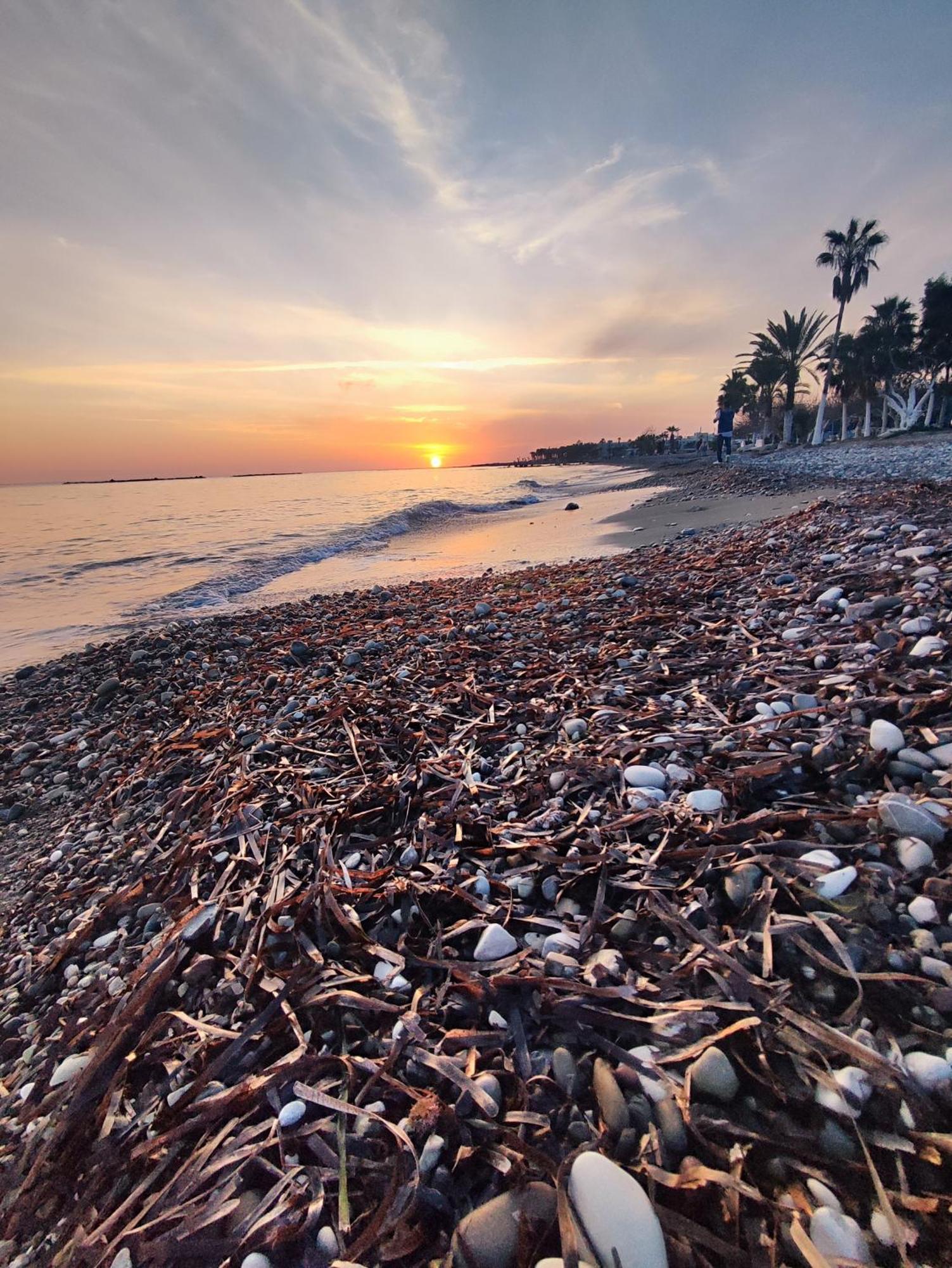 Marina Gardens Apartment Paphos ภายนอก รูปภาพ